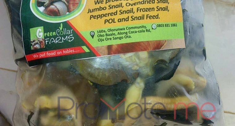 Freshly processed snail